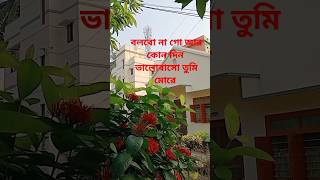 বলবো না গো আর কোন দিনshortvideoviralsong [upl. by Hefter]