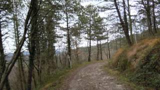 Bike ride to the second peak of Monte Morello in Tuscany Italy [upl. by Griffy329]