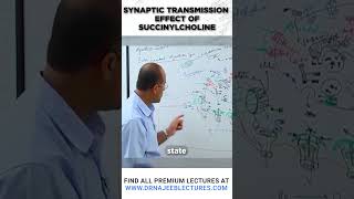 Synaptic Transmission Effect of Succinylcholine drnajeeblectures drnajeeb youtubeshortsvideo [upl. by Bergwall]