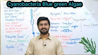 610 Cyanobacteria Blue green Algae and their characteristics Fsc Biology class11 [upl. by Norud543]