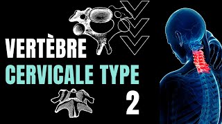 ANATOMIE dune VERTÈBRE CERVICALE type 22 [upl. by Goldarina]