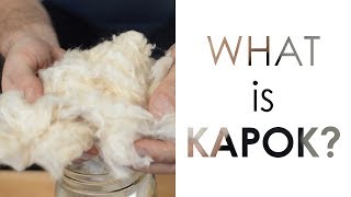 What is Kapok [upl. by Koal377]