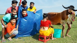 Monkey Special Trending Funny Comedy Video 2024😂Special Trending Funny Comedy Video Episode 274 [upl. by Enaelem]