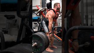 STEGOSAURUS DEADLIFTS shorts workout deadlift [upl. by Anyzratak]