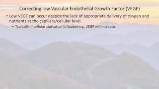 Vascular Endothelial Growth Factor VEGF in CIRS [upl. by Acinoj875]