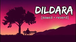 Dildara slowedreverb [upl. by Hurleigh]