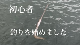 初心者 新舞子海釣り公園金城埠頭で夜釣り、ヤバいなぁって感じで黒鯛まで釣れました [upl. by Vivi]