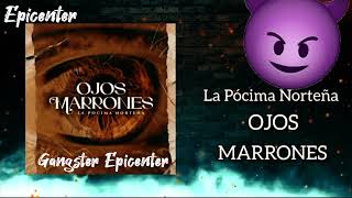 La Pócima Norteña  Ojos Marrones Epicenter HD [upl. by Lisetta]