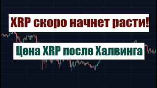 XRP СКОРО НАЧНЕТ РАСТИ ЦЕНА XRP ПОСЛЕ ЭТОГО ХАЛВИНГА [upl. by Ikcim]