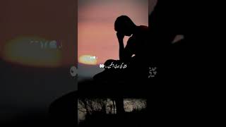 Best Urdu Shairy  Urdu Status Poetry  Best Urdu Line  Urdu Status Shairy  Status videos🌹 [upl. by Ainoyek]