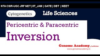 Pericentric amp paracentric Inversion  cytogenetics  CSIR  NTA  JRF  NET  Life Sciences [upl. by Adnaram]