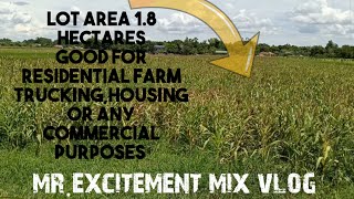 V58 18 Hectares lot areagood for any commercial purposes or farm lotmrexcitementmixvlog [upl. by Aisatana740]