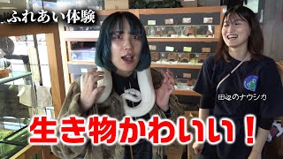 エキゾチックアニマルVS動物に嫌われるアラサー女子！Exotic cafe Moo amp ペットランドガリバー【爬虫類カフェ】和歌山県田辺市 [upl. by Horton]