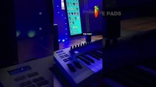 Novation FLKey 49 MIDI [upl. by Whitelaw]