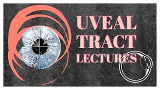 UVEAL TRACT lecture 10 PANOPHTHALMITIS very IMPORTANT topic with scenario [upl. by Ellivnarg888]