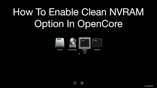 How to Enable Clean NVRAM Option in OpenCore [upl. by Anialram]