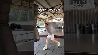 ✅3 Powerful Advanced Boxing Tricks✅ boxing tricks boxer bolo cobra gazelle [upl. by Ydne]