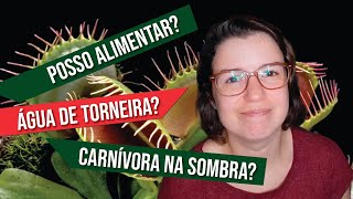 AS MAIORES DÚVIDAS DE UM INICIANTE  PLANTAS CARNÍVORAS [upl. by Lesiram]