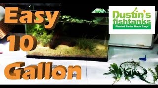 EASY Beginner Aquarium Plant Species Species Sunday 10 Gallon Tank SETUP [upl. by Randi]