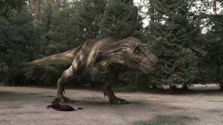 TRex Demo Reel [upl. by Clayson62]