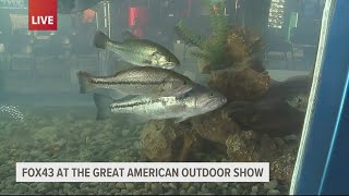 Great American Outdoor Show has live fishing exhibits [upl. by Einallem]