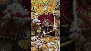 muskurahat ya nami ban shortsfeed vrindavan radhavallabh song [upl. by Affra310]