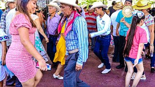 🎻💐 Feliz Domingo De Ramos REVIVE Uno De Los Mejores Domingos De Huapango En Xilitla [upl. by Steere447]