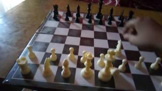 How to play chess in Hindi [upl. by Kcirtapnaes340]