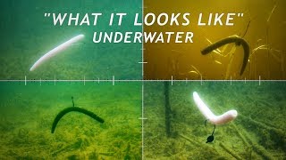 4 Wacky Rigging Methods  What it Looks Like Underwater [upl. by Proud848]