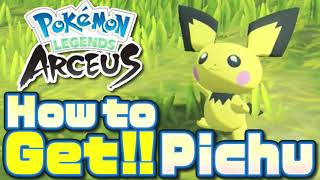 How to Get Pichu in Pokemon Legends ArceusPichu Location [upl. by Prober]