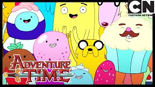 The Slumber Party Panic  Adventure Time  Cartoon Network [upl. by Saixela]