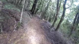 Creamed Rice  Wairoa Gorge Bike Park [upl. by Dillie]