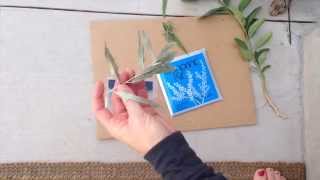 How to make a Cyanotype or Sun Print using already prepared paper or a kit [upl. by Strawn304]