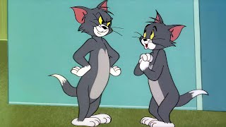 Tom and Jerry  Episode 106  Timid Tabby AI Remastered tomandjerry remastered 1440p [upl. by Hughmanick]