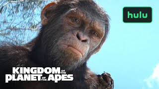 Kingdom of The Planet Of The Apes  Official Trailer  Hulu [upl. by Oicnoel]