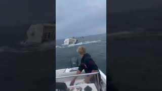 Killer Whale Actually Flips a Boat in New Hampshire [upl. by Elwina]