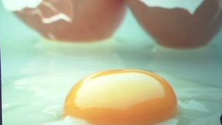 Study Egg yolk nearly as bad as smoking [upl. by Frentz772]