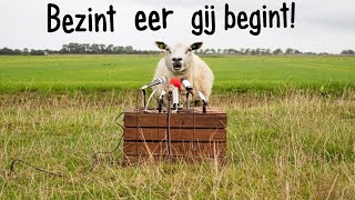 Bezint eer gij begint [upl. by Ynner]