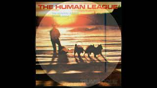 The Human League  Life kills 1980 [upl. by Eslehc]