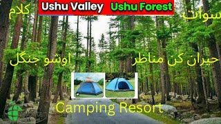 The Most Amazing place in Ushu Forest Kalam ValleySwatCamping ResortTravel Guide [upl. by Jenifer]