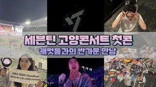 캐럿로그💎세븐틴 고양콘서트 1일차캐럿들과의 만남🙋‍♀️소노캄고양MD공연리액션🎬나눔리뷰 [upl. by Josefa]