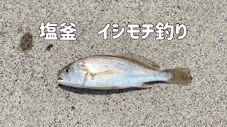 【2023年５月 宮城県釣り】イシモチ釣り [upl. by Emelita]