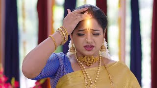 భయ పడకండి బావ గారు  Trinayani  Full Ep 663  Zee Telugu  11 Jun 2022 [upl. by Grayce]