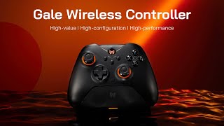 Gale Wireless Controller [upl. by Ixel]