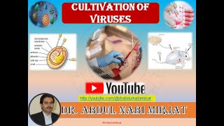 Medical VirologyCultivation of Viruses Lecture08 [upl. by Kerby729]