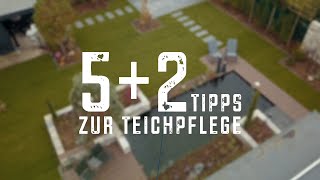 Die richtige Teichreinigung  5 2 Tipps für klares Wasser [upl. by Ailes]