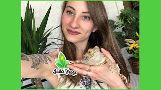 Joshs Frogs Unboxing [upl. by Odlanar622]