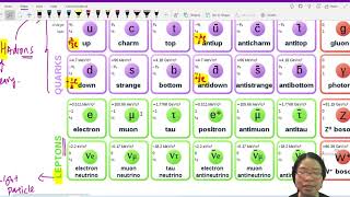 112b Classification of Fundamental Particles  AS Particle Physics  Cambridge A Level Physics [upl. by Analise]