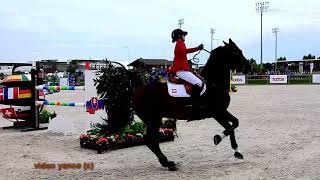 Horse show jumping falls compilation [upl. by Evelina]