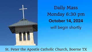 Daily Mass  Tuesday 8 AM October 15 2024 [upl. by Addis]